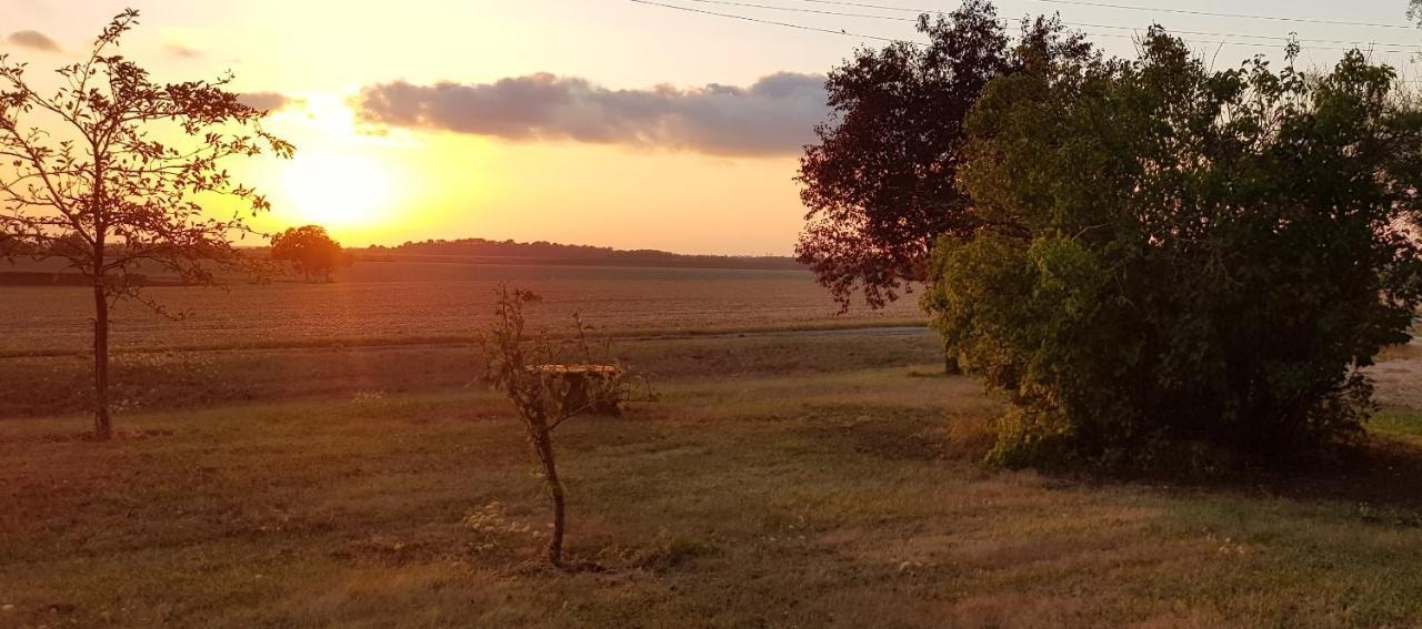 Domaine De Prefond Bed & Breakfast Bengy-sur-Craon Exterior photo