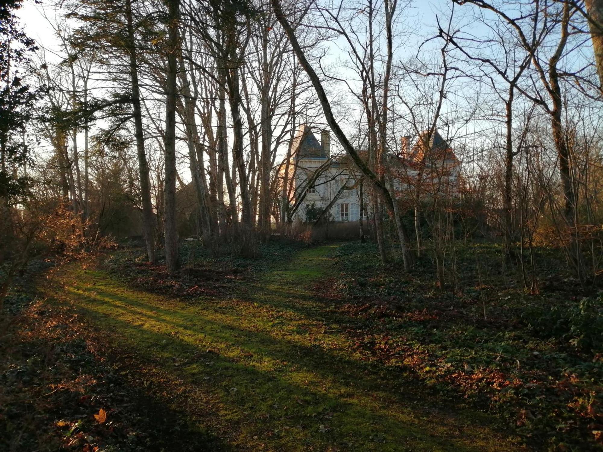 Domaine De Prefond Bed & Breakfast Bengy-sur-Craon Room photo